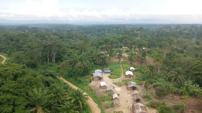 Ituri : 17 corps abandonnés depuis plus de deux semaines, Protection Plus exige des funérailles dignes