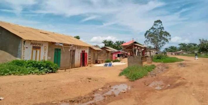 « Makumo transformé en abattoir humain » : L’ONGDH Protection Plus hausse le ton et dénonce à son tour l’abandon de Mambasa