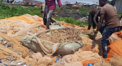 Djugu : 13 filets prohibés et 4 sacs de poissons juvéniles incinérés à Tchomia pour protéger le lac Albert