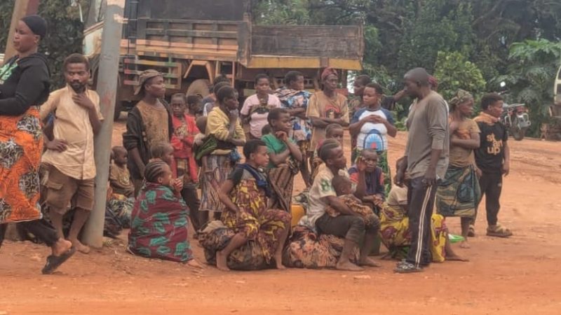 Attaques des ADF à Mambasa : le Conseil de la Jeunesse alerte sur le drame humanitaire et lance une « Cuisine communautaire » pour les Pygmées