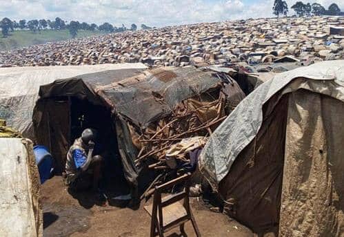 Irumu : Les déplacés de Ruzinga et Kamatsi-Mudogo dans l&rsquo;abandon total, un élu provincial alerte